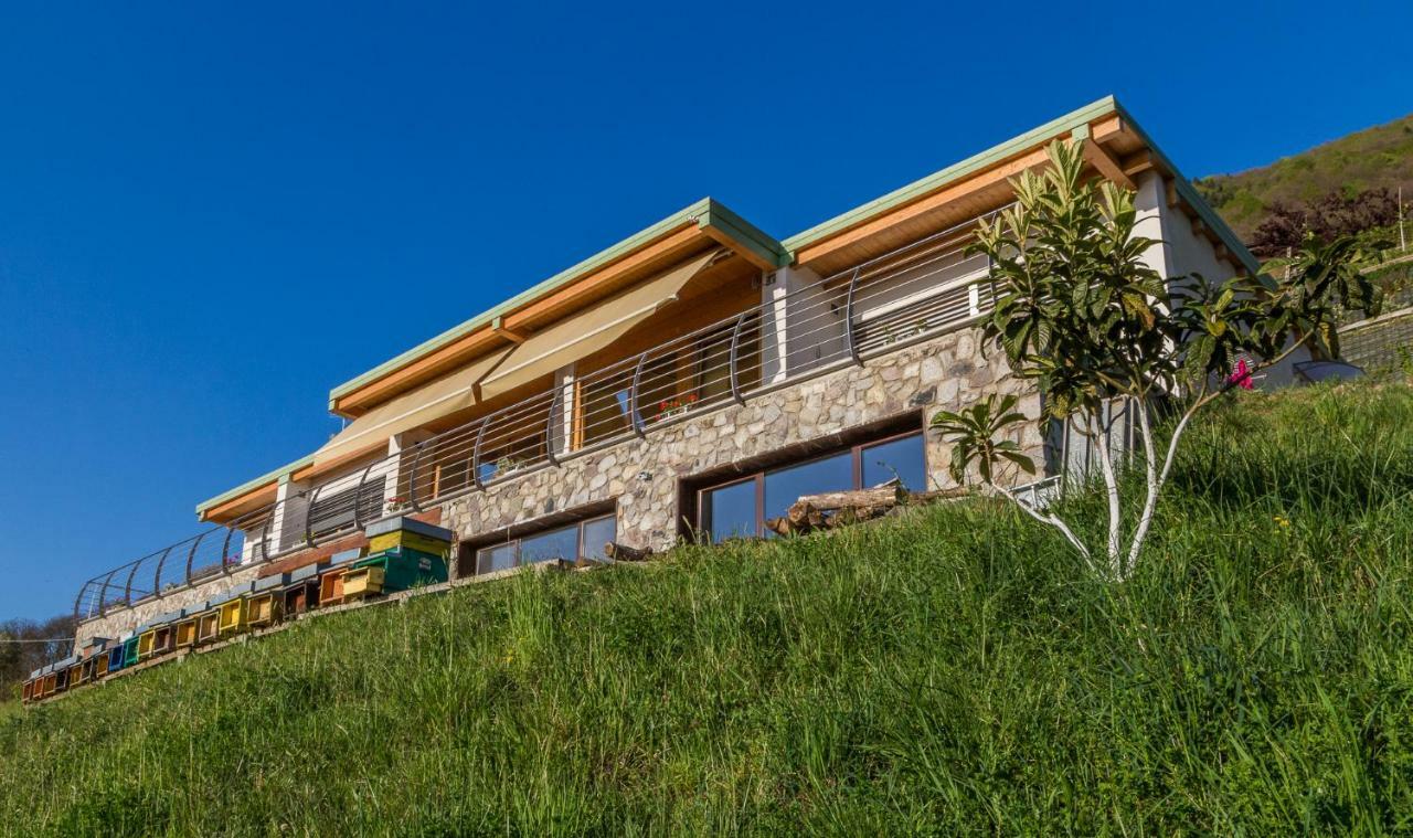 Bed and breakfast Alveare Sul
