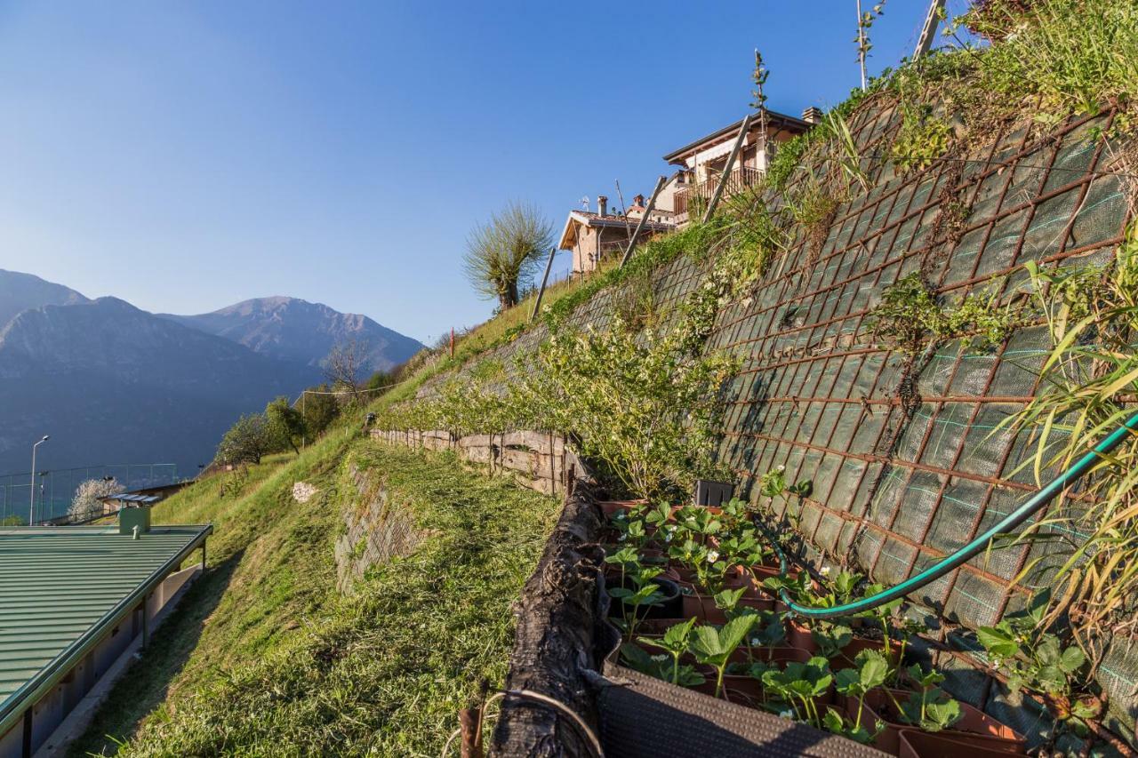 Bed and breakfast Alveare Sul