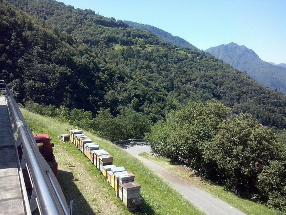 Bed and breakfast Alveare Sul *